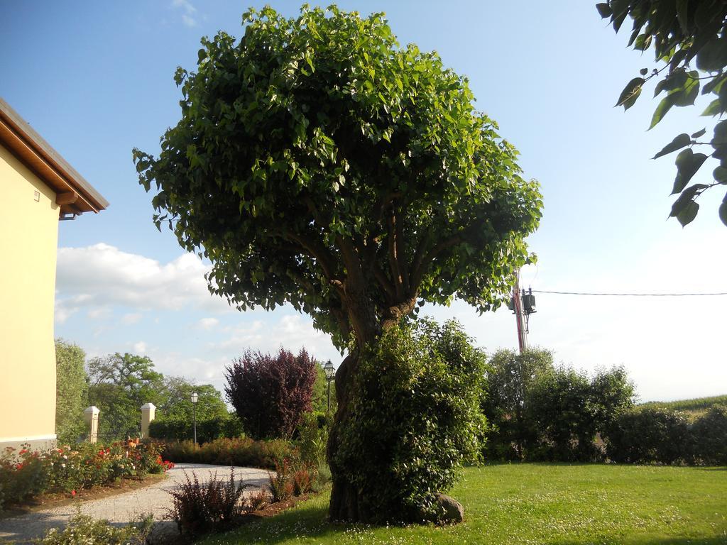 B&B Casa Pagliette Cavriana Kültér fotó